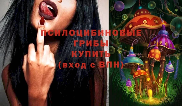 хмурый Алексеевка
