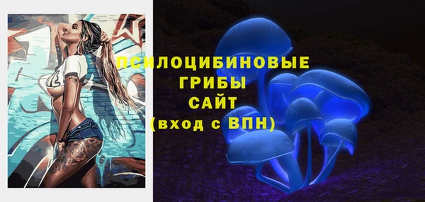 прущий лед Алексин
