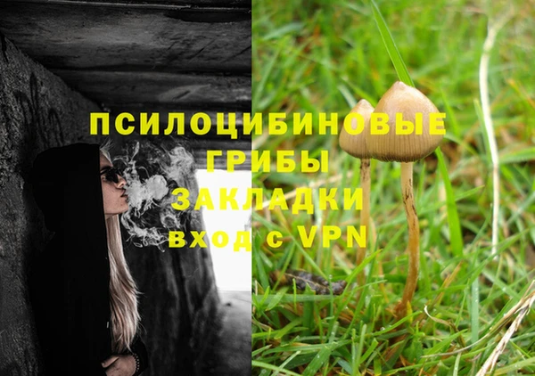 хмурый Алексеевка