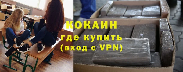 хмурый Алексеевка