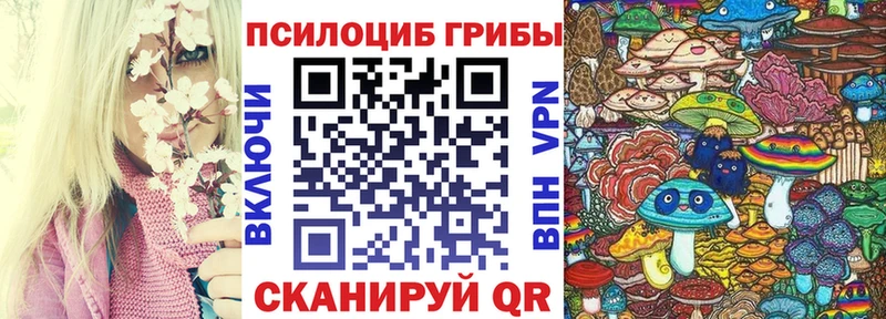 цена   Петрозаводск  Псилоцибиновые грибы GOLDEN TEACHER 